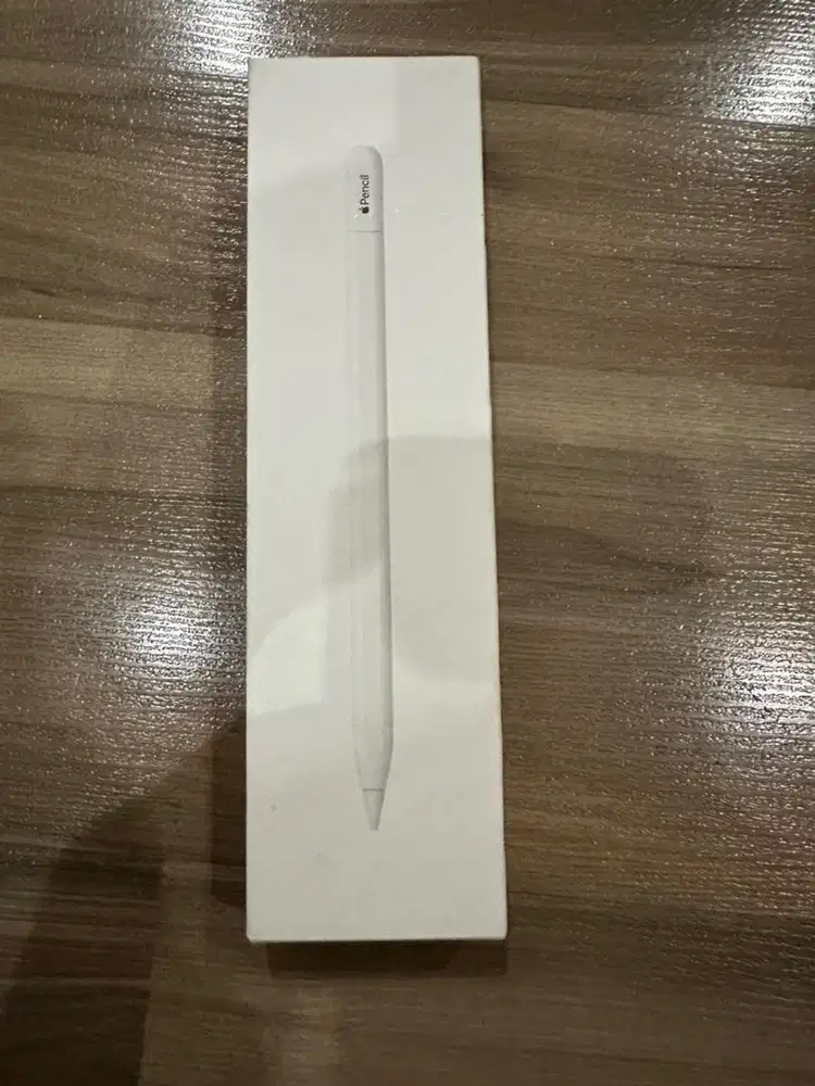 Pen apple usb-c