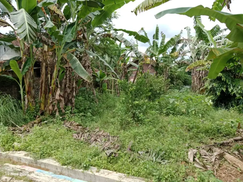 DI JUAL SEBIDANG TANAH MURAH DI MIJEN