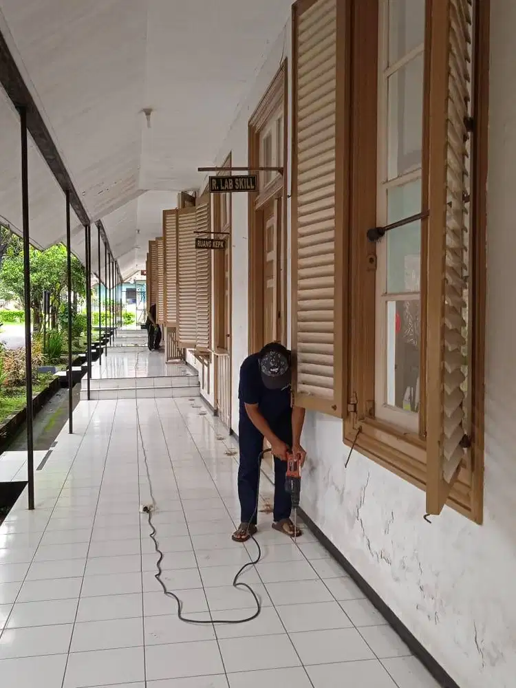 JASA BASMI HAMA RAYAP DI SURABAYA