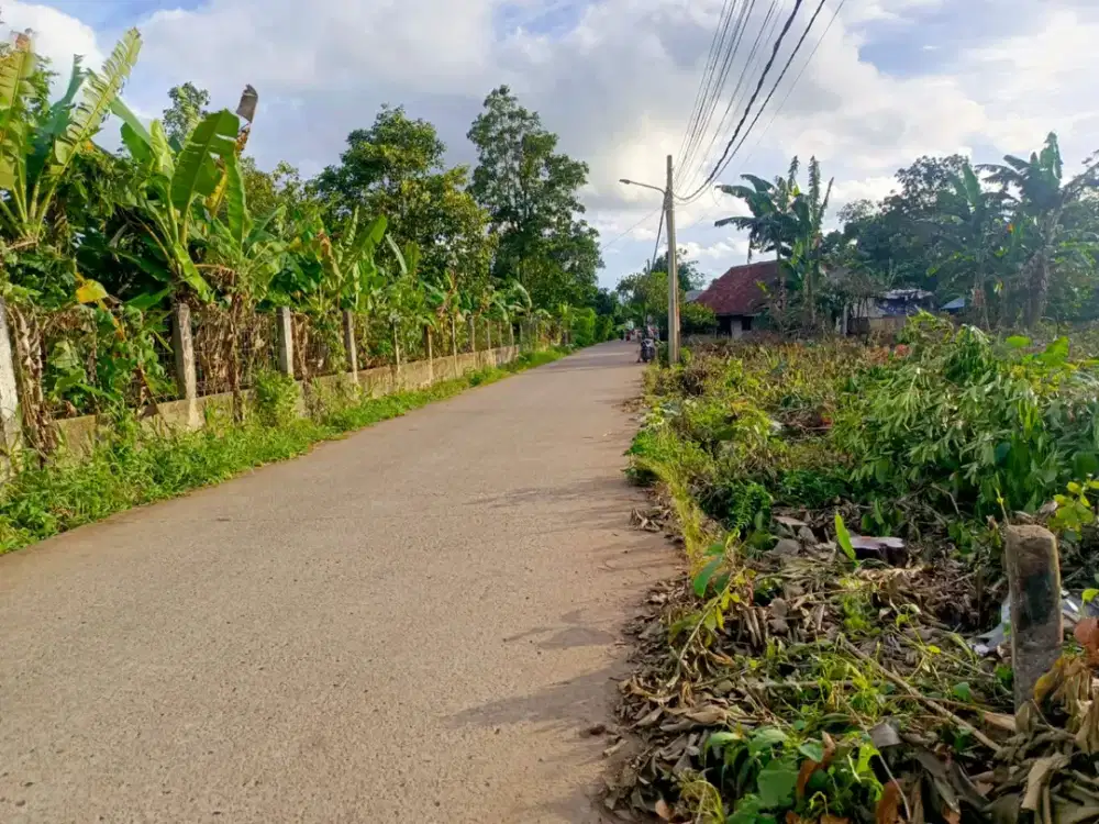 Tanah Cisauk Pinggir Jalan Utama - Murah 100Jtan