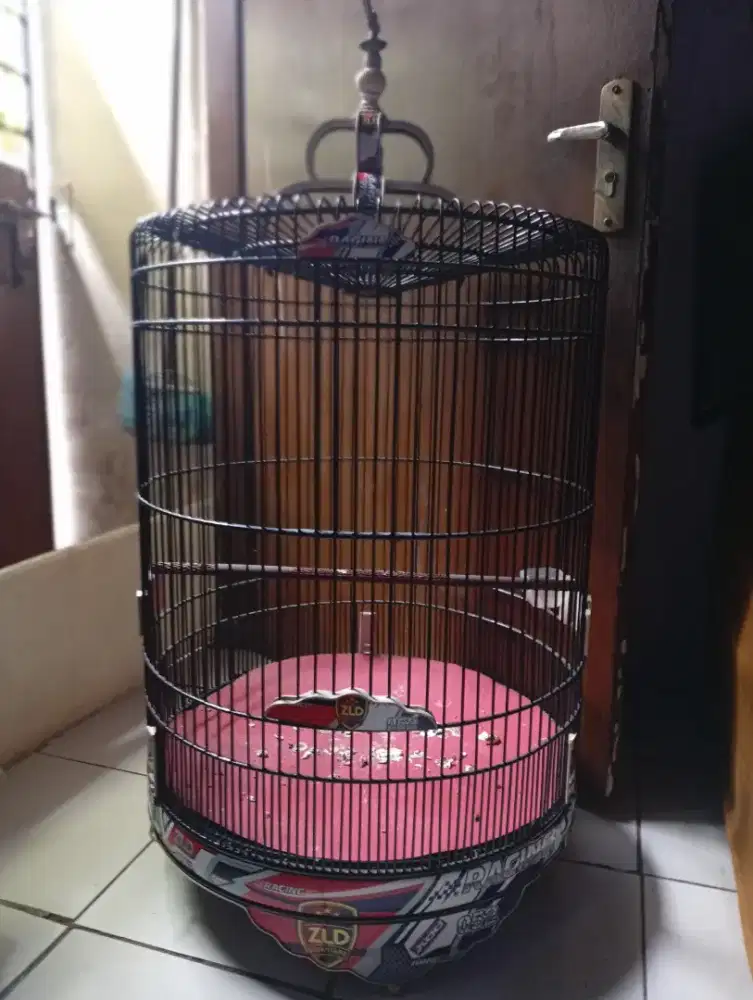 Sangkar MB decal no4