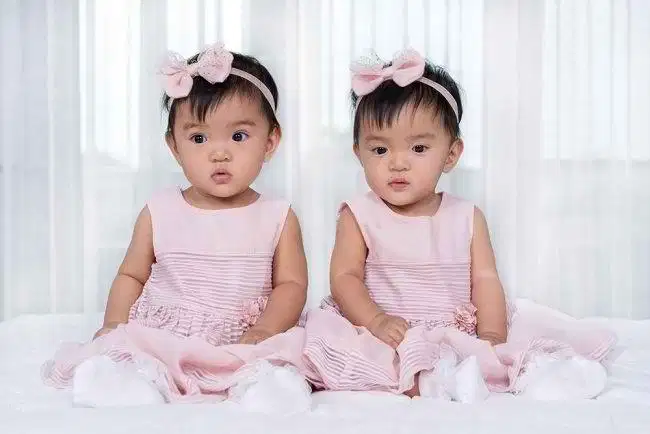 Butuh pengasuh jaga anak kembar