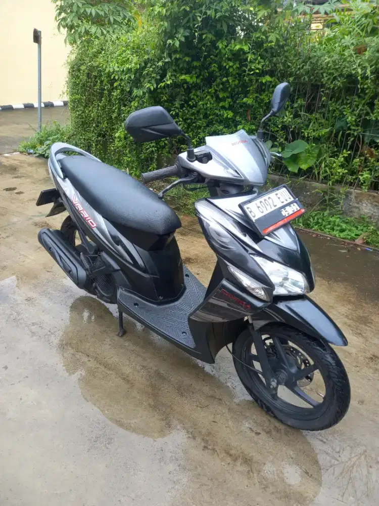 Vario 2011 karbu