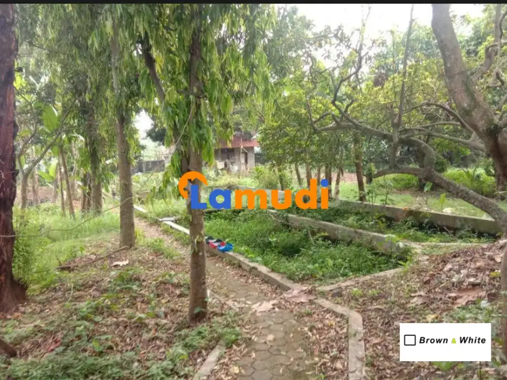 Tanah Dibawah Harga Njop Pinggir Jl Keadilan Rangkapanjaya Pancoran Mas