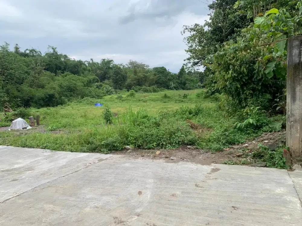 Tanah Jogja murah, barat Pasar Pakem, Pekarangan Siap AJB