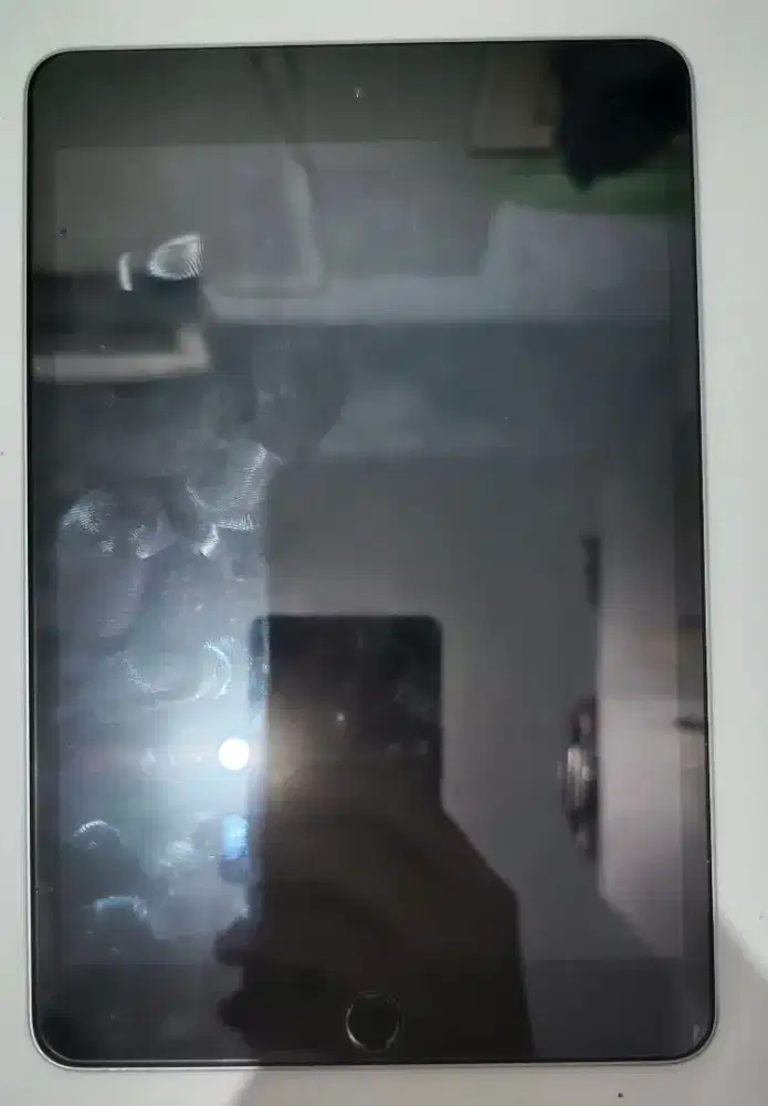 Ipad mini 4 (2/128GB)