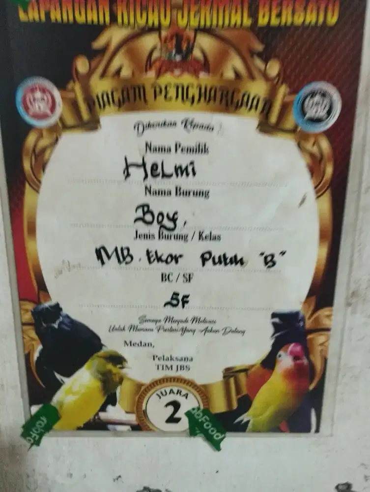 Jual burung kesayangan