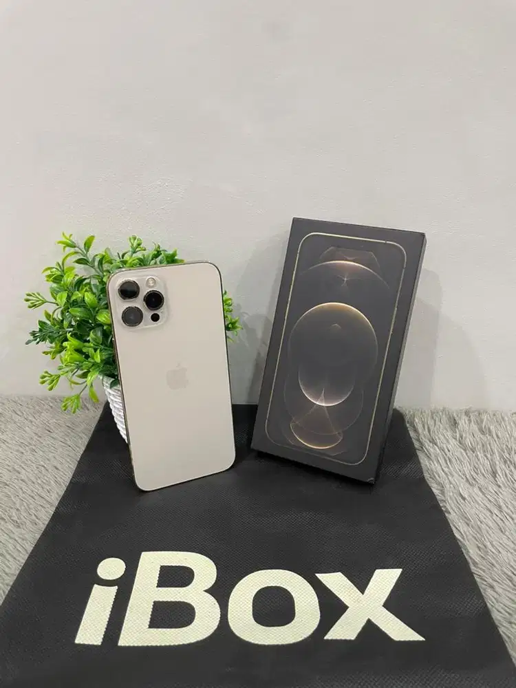 IPhone 12 ProMax 128GB iBox Gold mulus Fullset Ori BH 100% Permanent