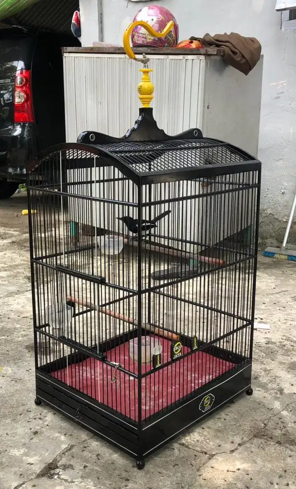 KACER/TICEM PALA GACOR FULLSET EBOD NO 1