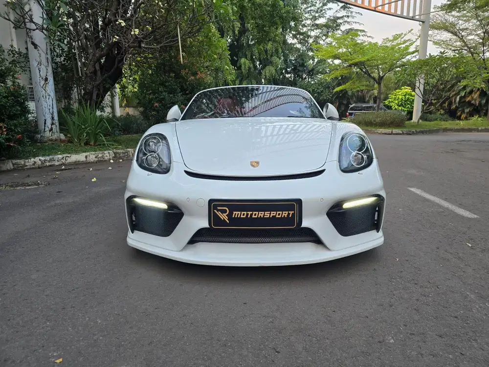 (Rare Item) Porsche Boxster 2014 low KM record gt4