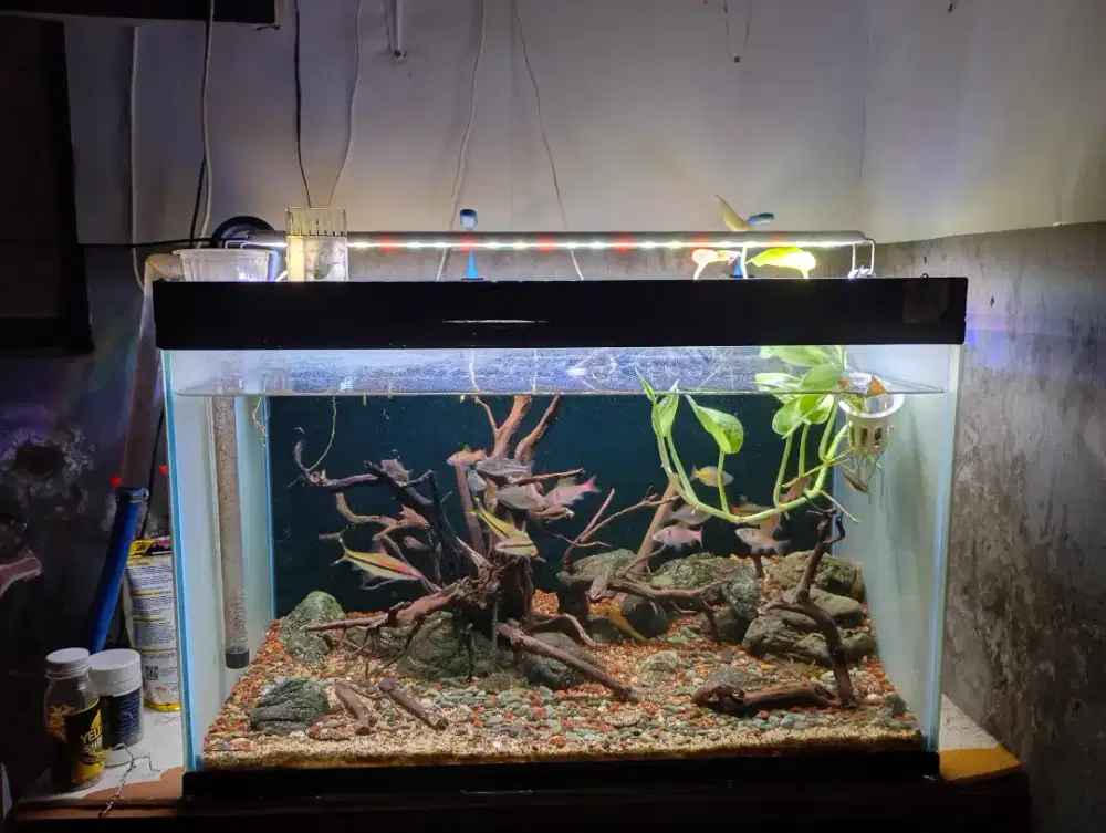 Aquarium 60x35x35