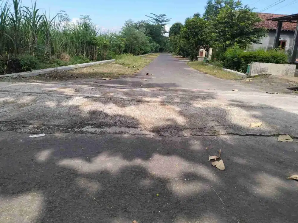 Tanah Sawah Pilangrejo Kabupaten Madiun Dekat Jalan Utama Desa