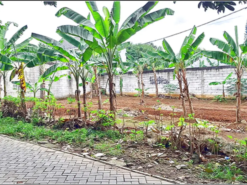 Tanah SHM, 10 Menit Pintu Tol Rawa Buntu, 3 Jt-an