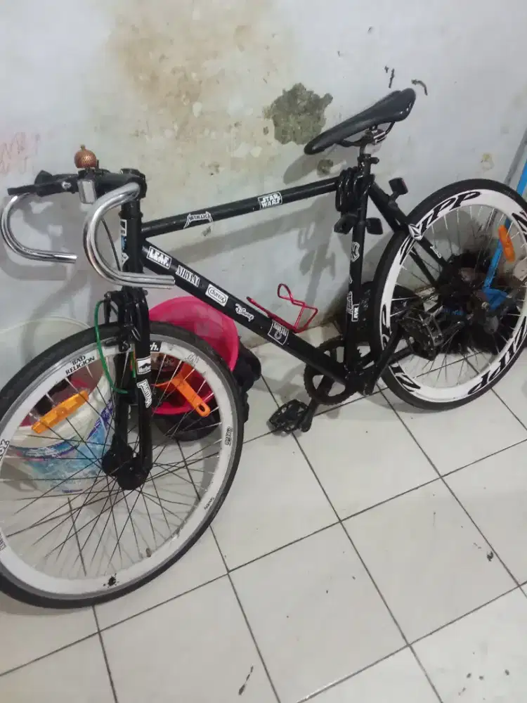 pixie dewasa ganteng siap pakai