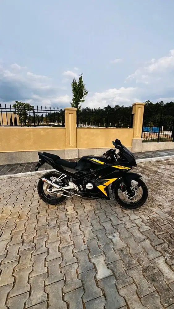 Kawasaki ninja rr new