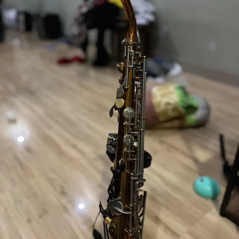 Alto Saxophone Kinga USA 660