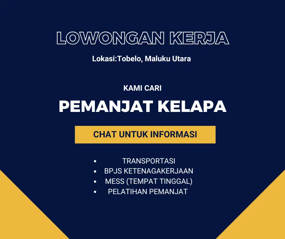 DICARI PEMANJAT KELAPA - TOBELO, MALUKU UTARA