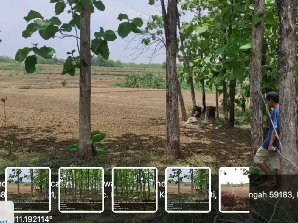 Dijual TANAH MURAH, HARGA terjangkau Di Desa Mencon, Kecamatan Pucakwangi, Kabupaten Pati.