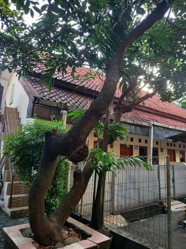 Kontrakan tahunan Cipinang Jakarta timur