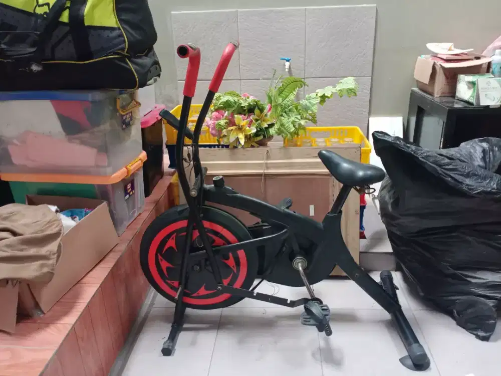 Sepeda statis fitness Platinum Bike