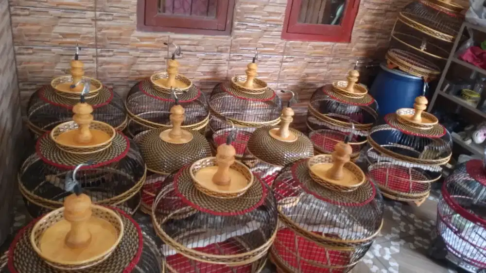 Sangkar derkuku tekukur puter dan perkutut