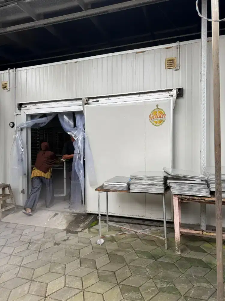 Pusat Grosir Daging Durian Medan