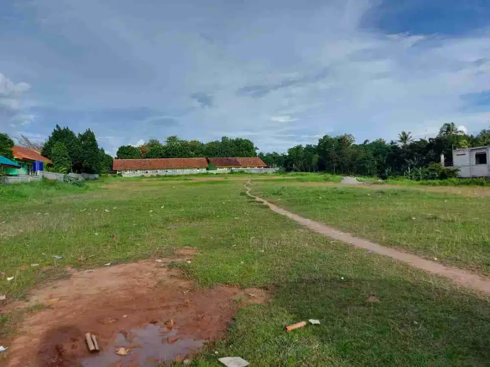 Jual Tanah Pinggir Jalan Utama Tenjo Sangat Strategis Tenjo Tangerang