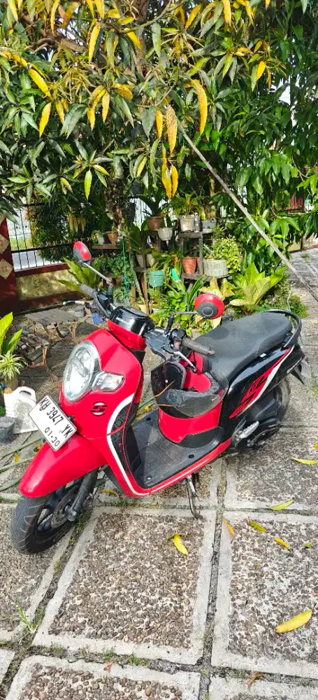 Honda Scoopy 2020