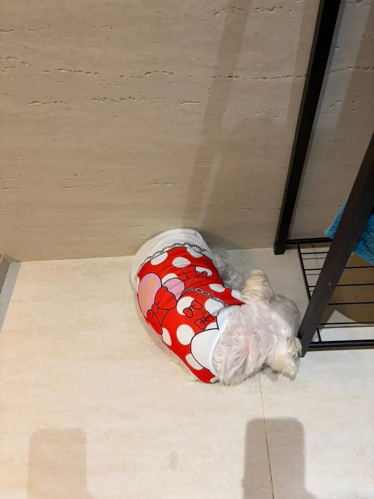 Dicari Asisten Rumah Tangga