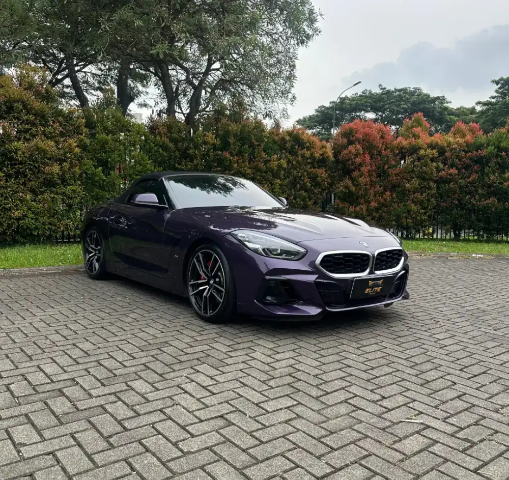 BMW Z4 sDrive30i AT 2023