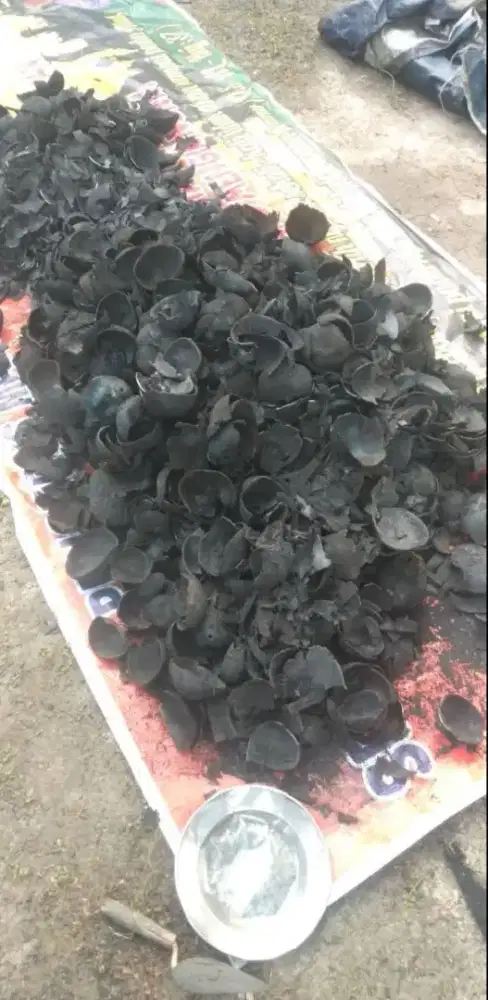 Arang batok dan arang kayu