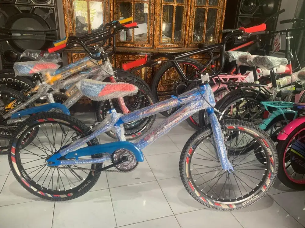 Bmx 20 buat anak sd smp TALANG BETUTU
