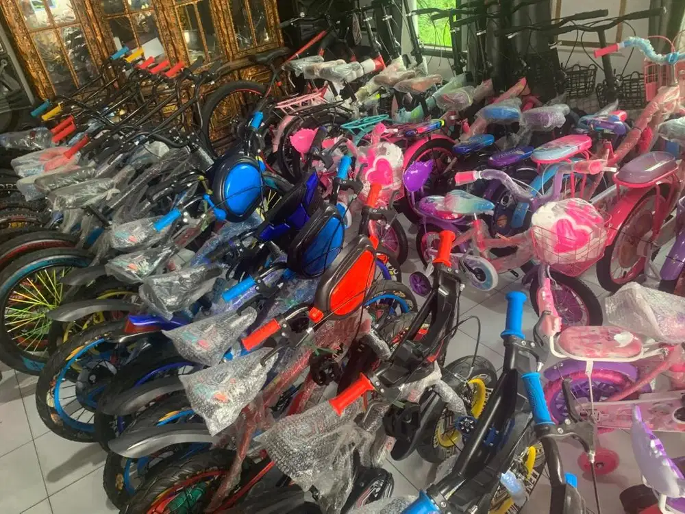 Sepeda Baru rumahan harga bersahabat