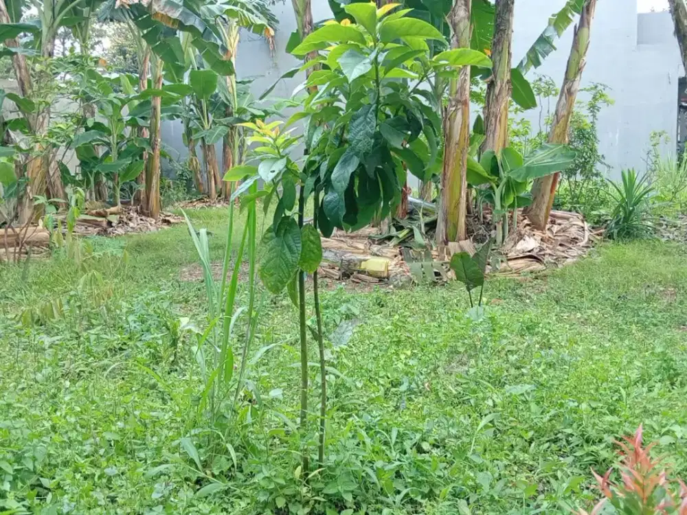 Dijual Cepat Kavling strategis dalam cluster The Address Cibubur