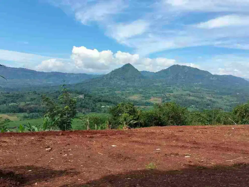 Jual Tanah Bebas Banjir Zonasi kuning PP2 bisa dibangun Villa