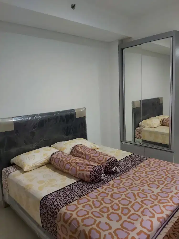 Disewakan Apartment Studio Full Furnished Springwood Alam Sutera