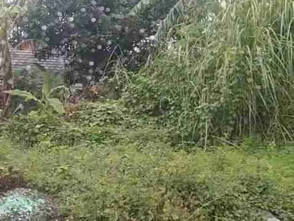 DIJUAL 2 KAVLING TANAH di BUMI RESIDENCE MENGANTI GRESIK