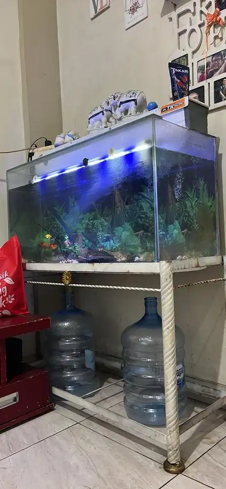 Aquarium ikan 105 x 45 x 55 cm