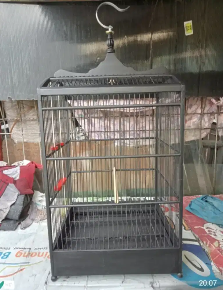 Kandang jati full fyber Kokoj kuat no 2