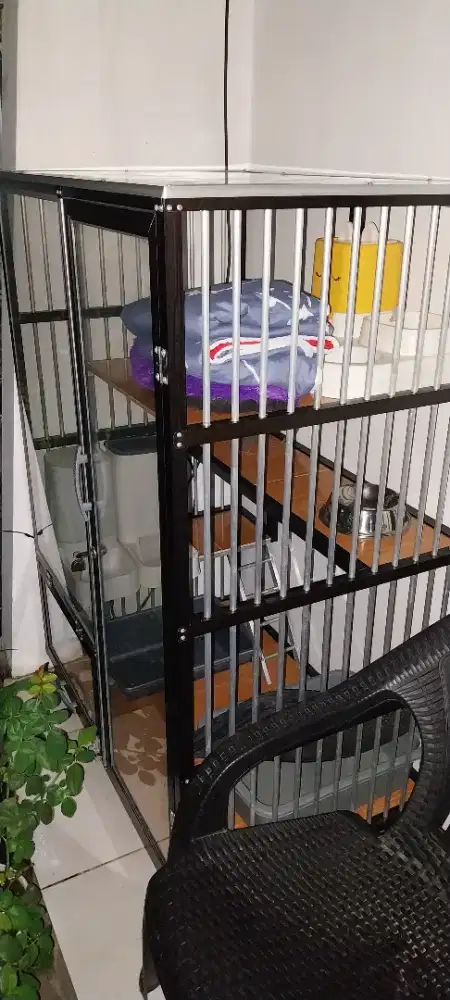 kandang kucing 2 ekor
