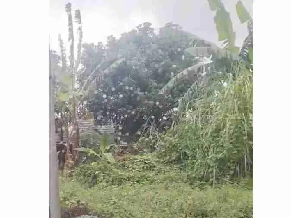 ‼️JUAL CEPAT ‼️TANAH KAVLING DI PERUMAHAN BUNGA RESIDENCE MENGANTI