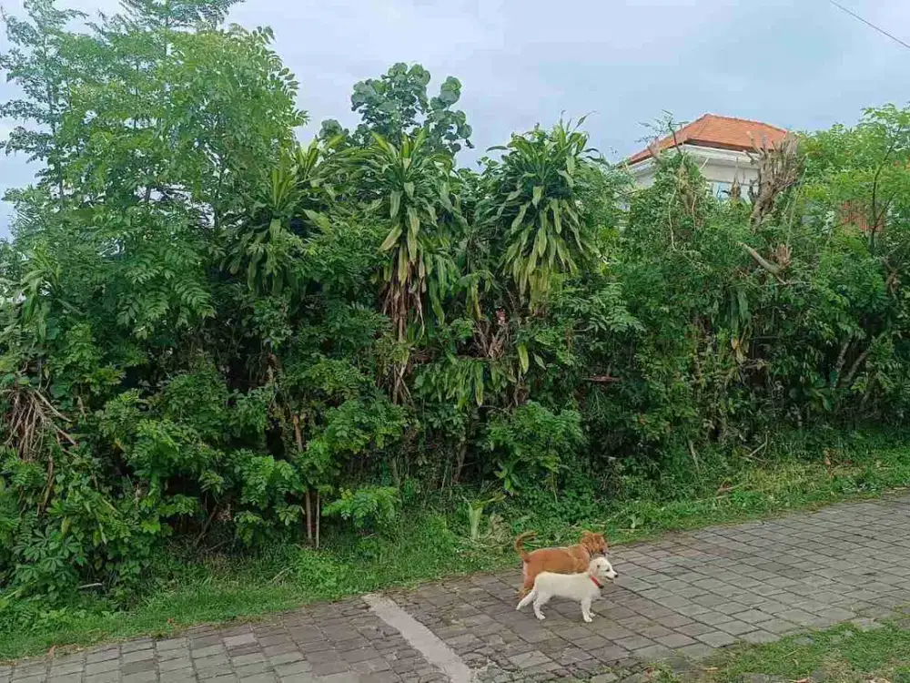 Tanah Balangan Ungasan Kuta Selatan Bali