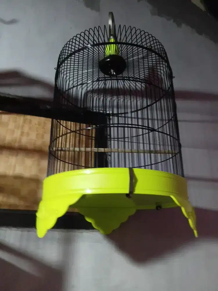 Kandang burung borongan