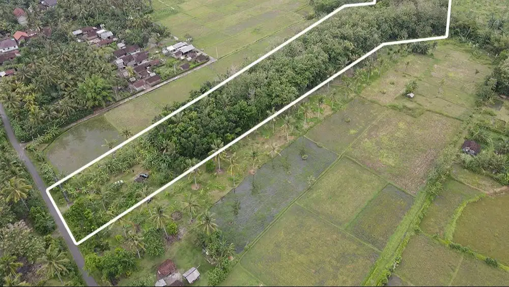 Dijual Tanah Produktif Lokasi Manistutu Jembrana