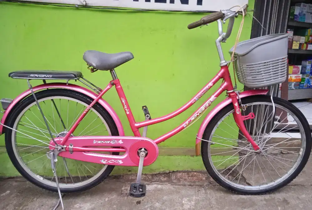 Sepeda keranjang ukuran 24