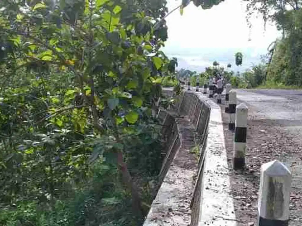 Tanah Pekarangan Luas 1207 Meter Persegi Lokasi Jatimulyo , Girimulyo - Kulon Progo