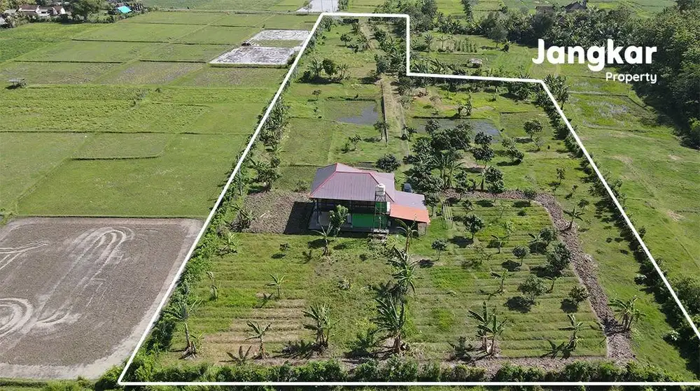Dijual Green House dan Tanah Strategis Lokasi Tegal Badeng Negara