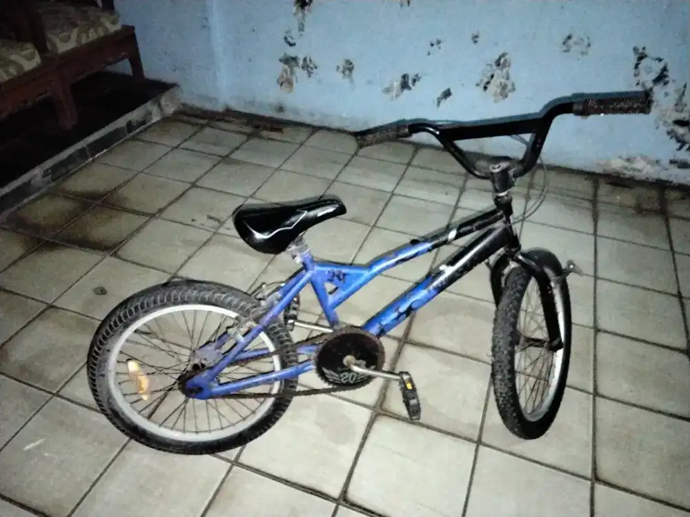 Wimcycle BMX Dragster 20 inch