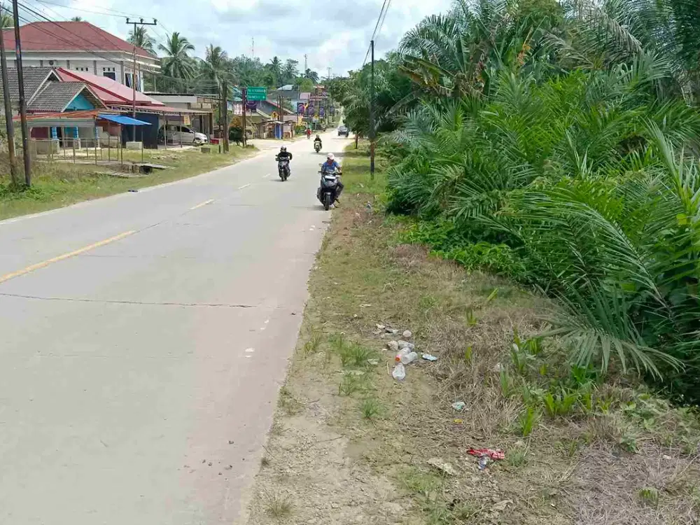 Bismillah dijual Tanah Kavling jalan Raya IKN luas 300 M², 20 menit menuju istana