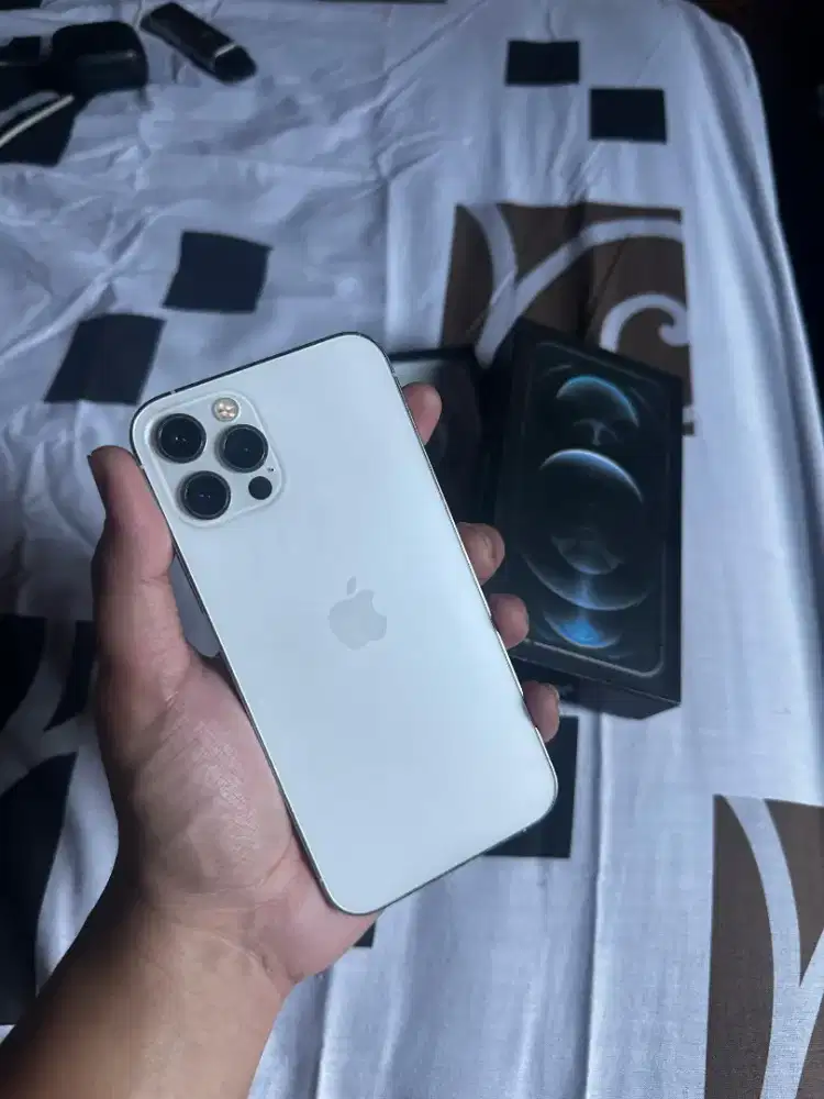 iphone 12 pro 256gb beacukai